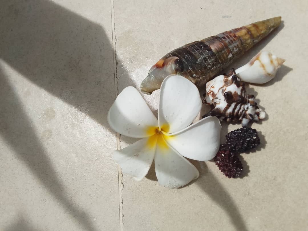 Palm trees and white sand beach in Zanzibar, where DesignIN Yoga’s vision of presence and inner design was first inspired.